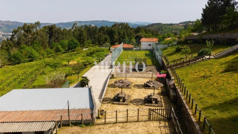 Quinta T5 para Venda em Cinfães