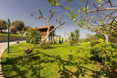 Quinta T5 para Venda em Cinfães