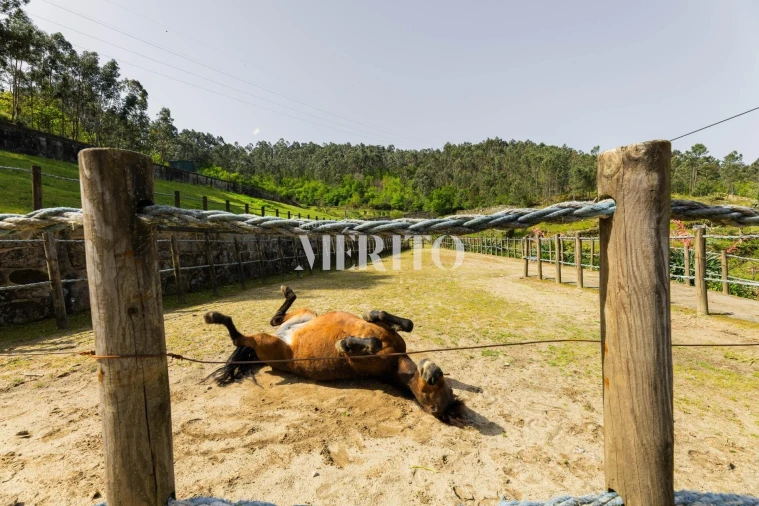Quinta T5 para Venda em Cinfães Foto 36