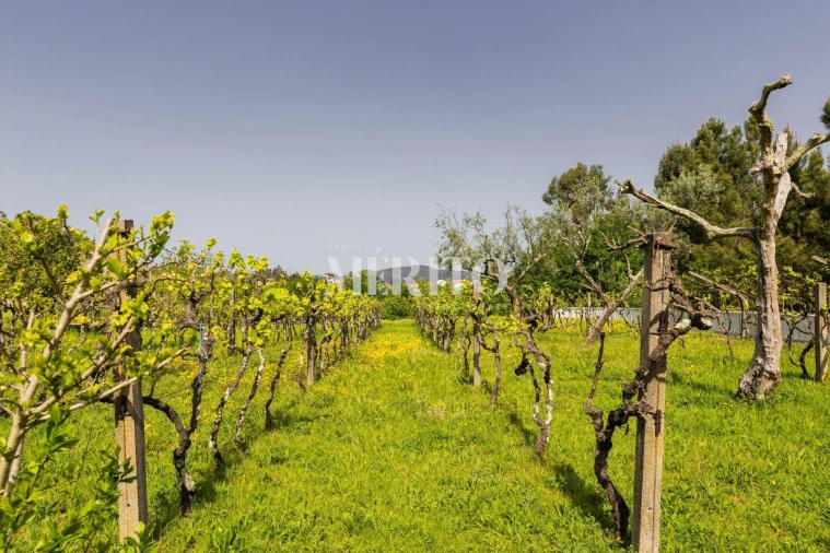 Quinta T5 para Venda em Cinfães Foto 25