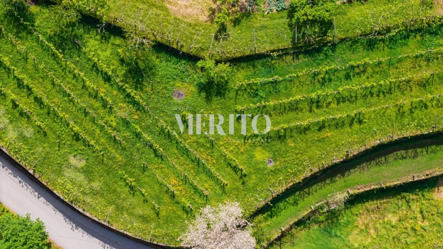 Quinta T5 para Venda em Cinfães Foto 26