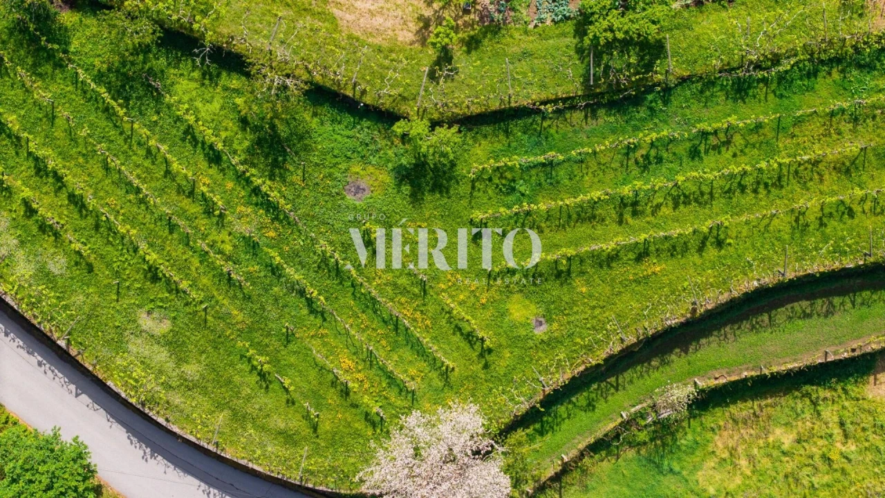 Quinta T5 para Venda em Cinfães Foto 26