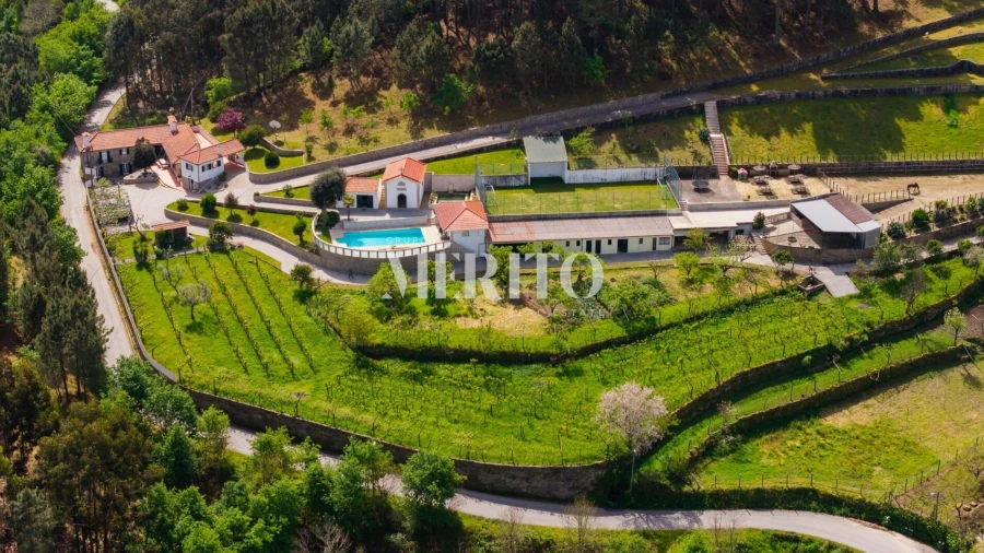 Quinta T5 para Venda em Cinfães