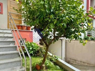 Moradia T3 para Venda em Arouca e Burgo