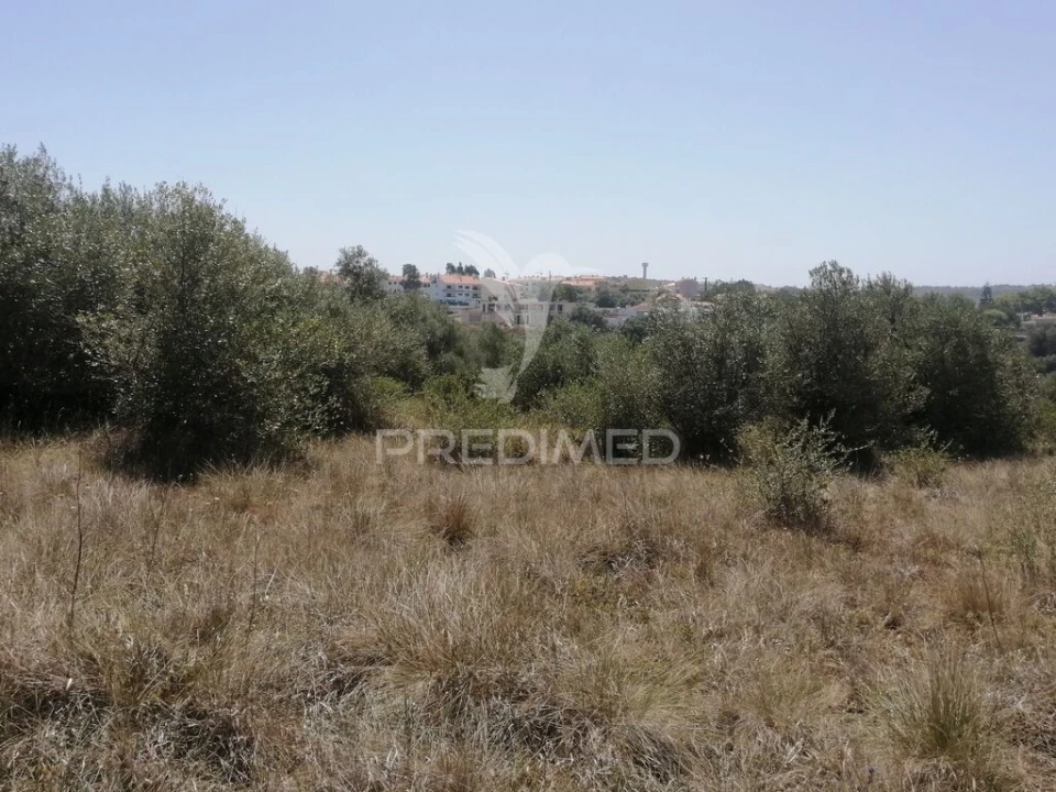 Terreno para Venda em São João das Lampas e Terrugem Foto 3