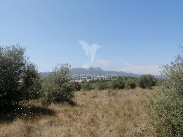 Terreno para Venda em São João das Lampas e Terrugem