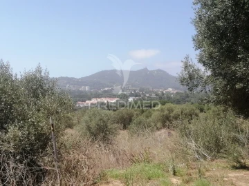 Terreno para Venda em São João das Lampas e Terrugem