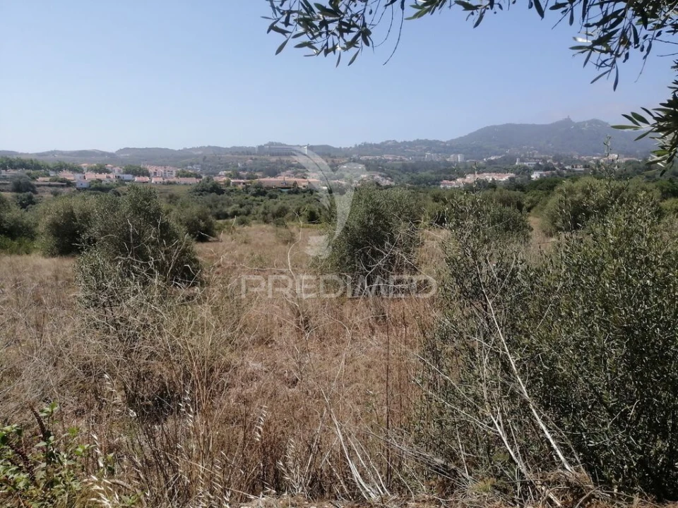 Terreno para Venda em São João das Lampas e Terrugem Foto 2