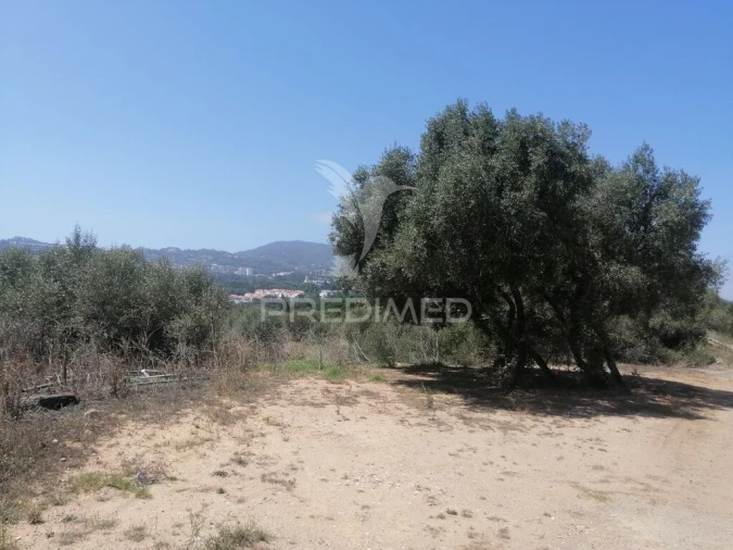 Terreno para Venda em São João das Lampas e Terrugem Foto 11