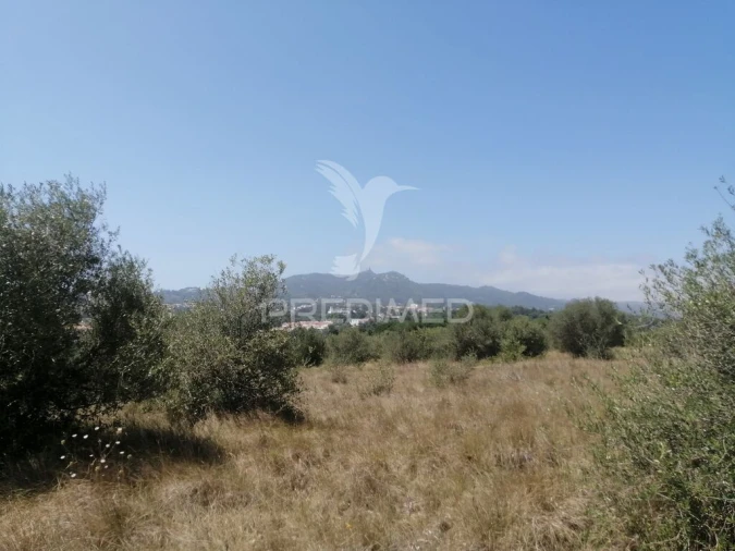 Terreno para Venda em São João das Lampas e Terrugem Foto 5