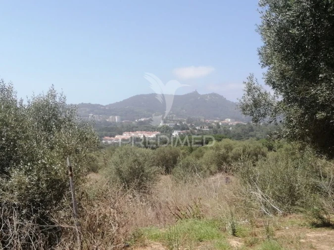 Terreno para Venda em São João das Lampas e Terrugem Foto 10