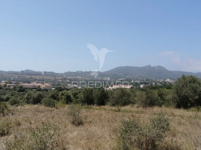 Terreno para Venda em São João das Lampas e Terrugem Foto 9