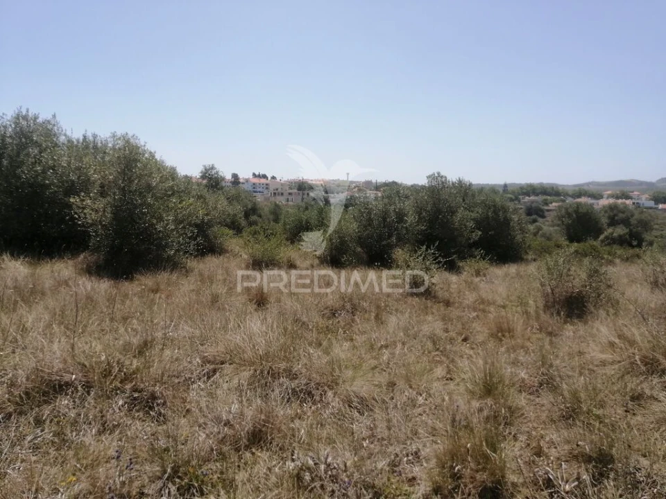 Terreno para Venda em São João das Lampas e Terrugem Foto 4