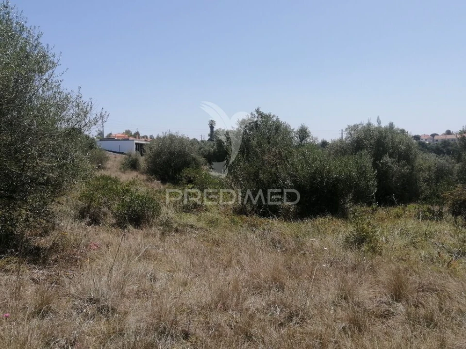 Terreno para Venda em São João das Lampas e Terrugem Foto 6