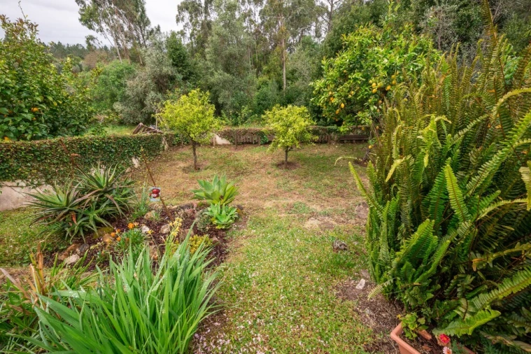 Moradia T5 para Venda em Cernache Foto 33