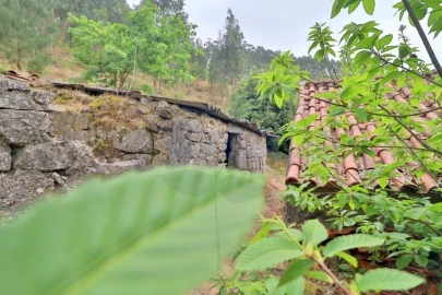 Quinta T4 para Venda em Escudeiros e Penso (Santo Estêvão e São Vicente)