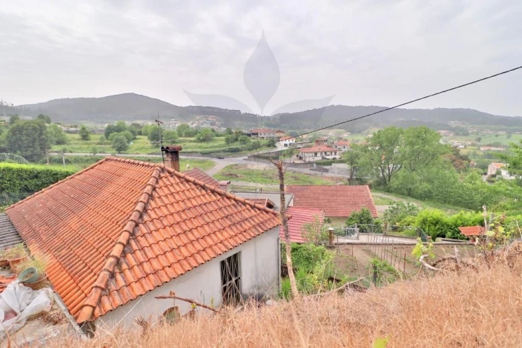 Quinta T4 para Venda em Escudeiros e Penso (Santo Estêvão e São Vicente) Foto 15