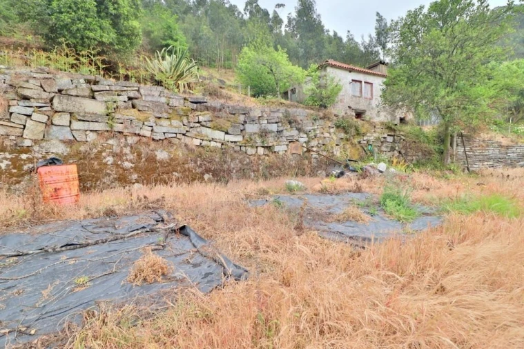 Quinta T4 para Venda em Escudeiros e Penso (Santo Estêvão e São Vicente) Foto 16