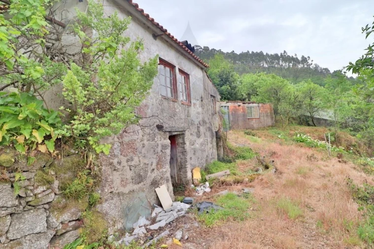 Quinta T4 para Venda em Escudeiros e Penso (Santo Estêvão e São Vicente) Foto 8