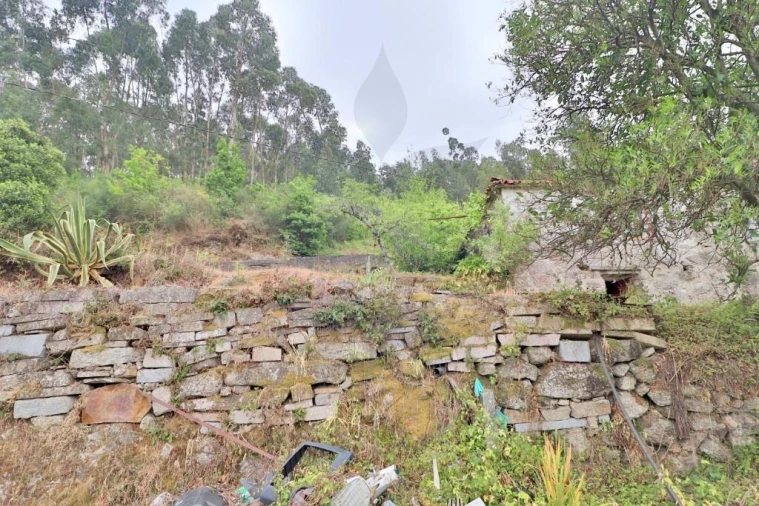 Quinta T4 para Venda em Escudeiros e Penso (Santo Estêvão e São Vicente) Foto 9