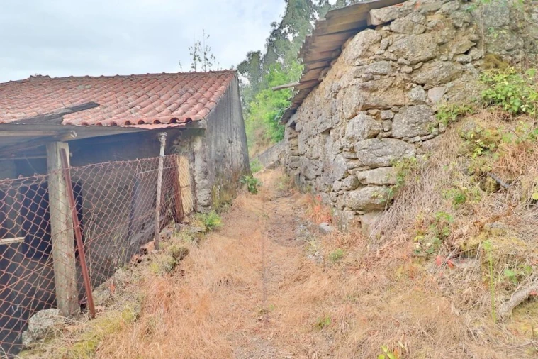 Quinta T4 para Venda em Escudeiros e Penso (Santo Estêvão e São Vicente) Foto 24