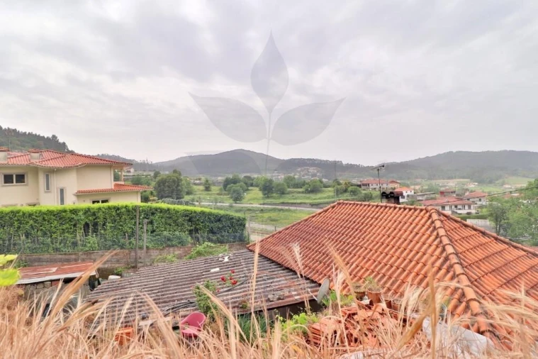 Quinta T4 para Venda em Escudeiros e Penso (Santo Estêvão e São Vicente) Foto 10