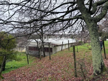 Terreno para Venda em São João da Madeira