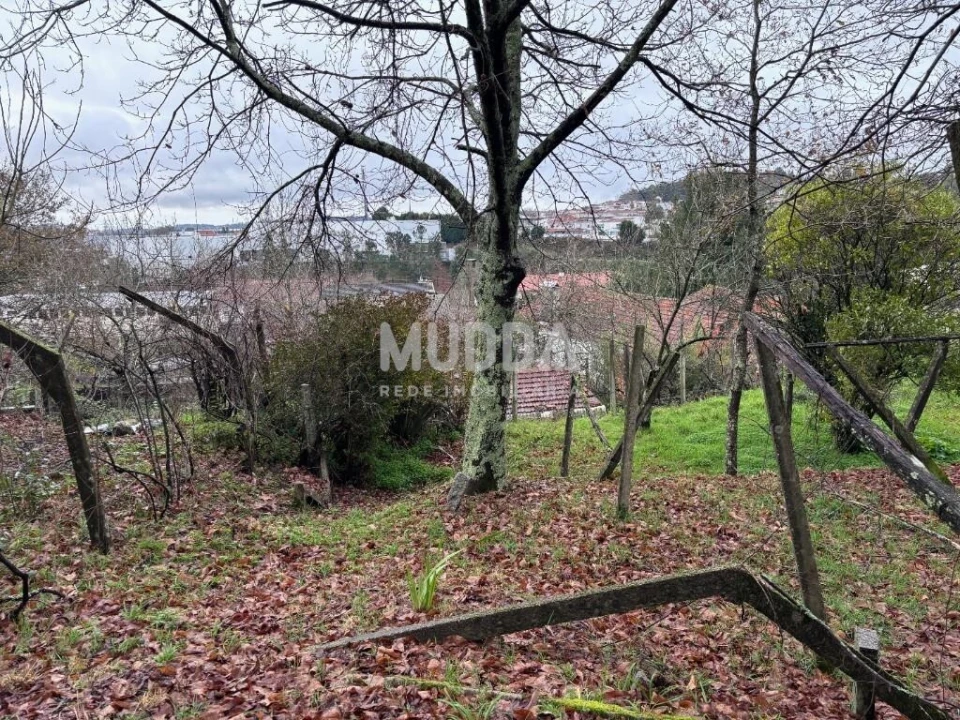 Terreno para Venda em São João da Madeira Foto 6