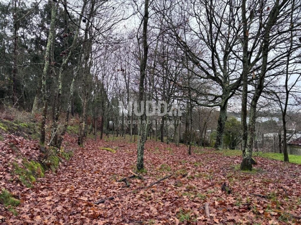 Terreno para Venda em São João da Madeira Foto 7