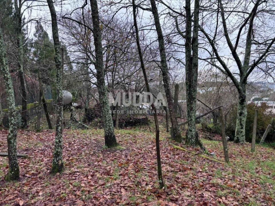 Terreno para Venda em São João da Madeira Foto 4