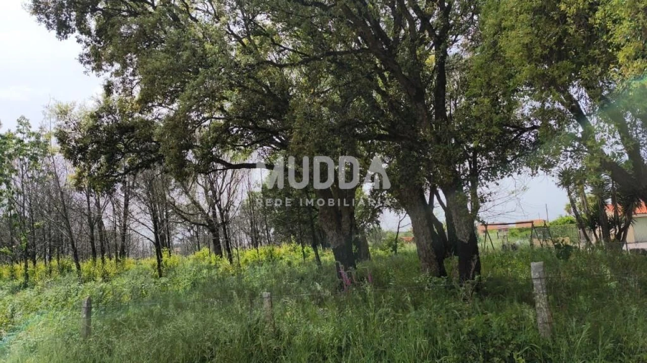 Terreno para Venda em Albergaria-A-Velha e Valmaior Foto 1