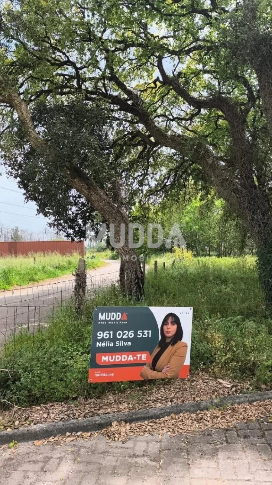 Terreno para Venda em Albergaria-A-Velha e Valmaior Foto 3