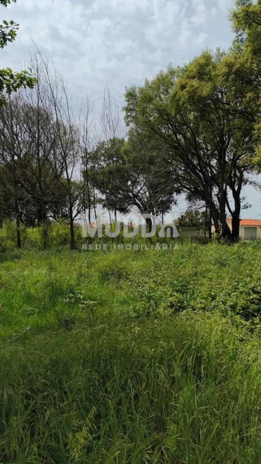 Terreno para Venda em Albergaria-A-Velha e Valmaior Foto 2