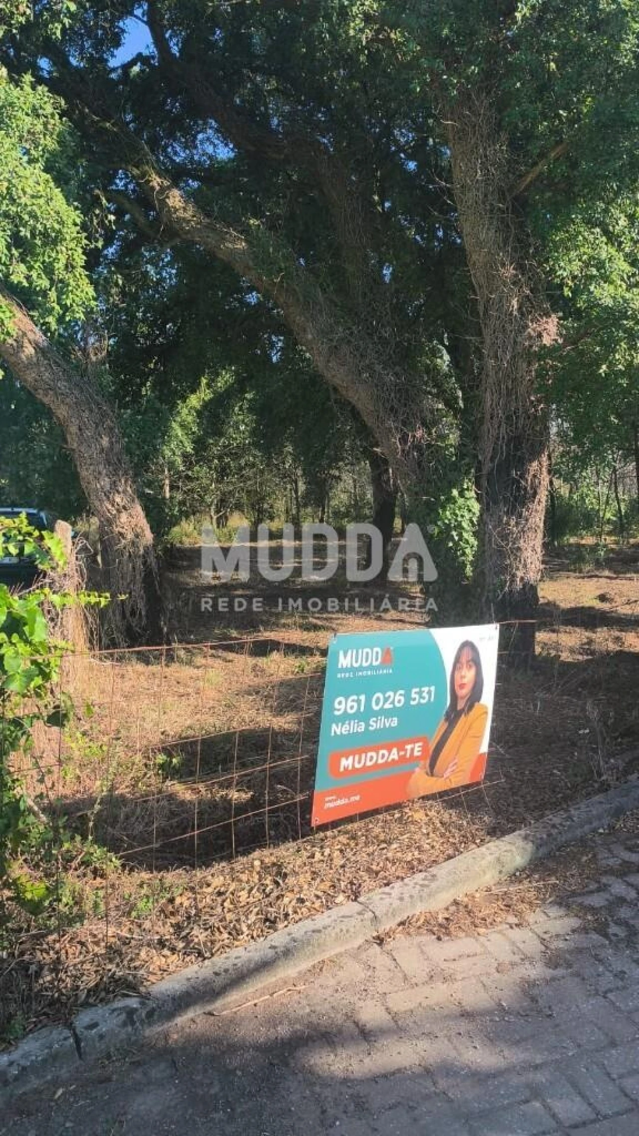 Terreno para Venda em Albergaria-A-Velha e Valmaior Foto 6