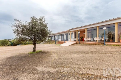 Negócio para Venda em São Bras e São Lourenço