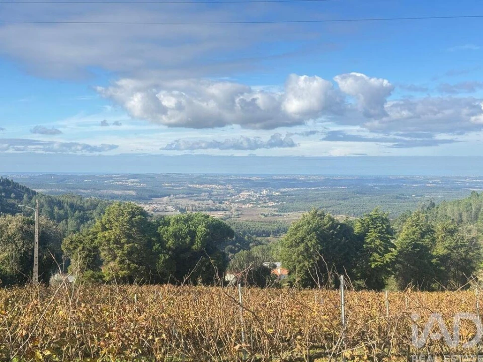Moradia T3 para Venda em Maxial e Monte Redondo Foto 8