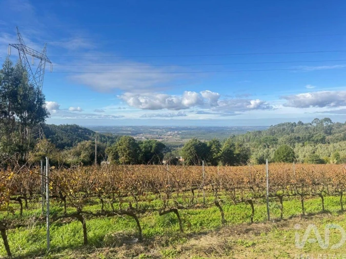 Moradia T3 para Venda em Maxial e Monte Redondo Foto 9