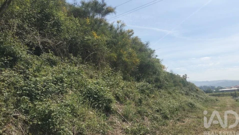 Terreno para Venda em Paredes