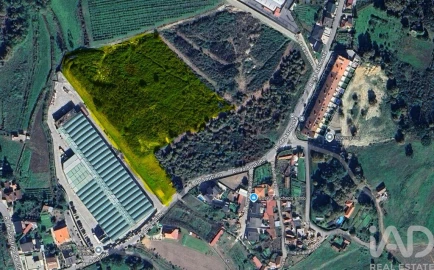 Terreno para Venda em Paredes