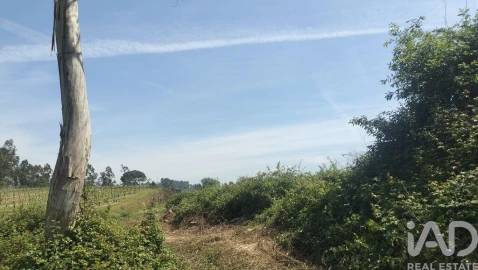 Terreno para Venda em Paredes