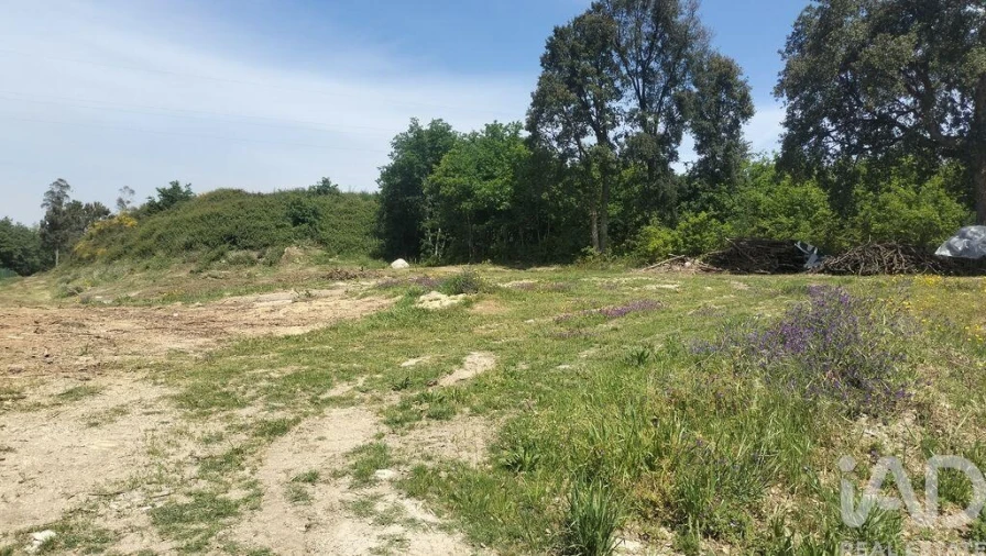 Terreno para Venda em Paredes Foto 3