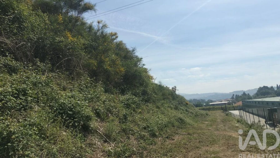 Terreno para Venda em Paredes Foto 12