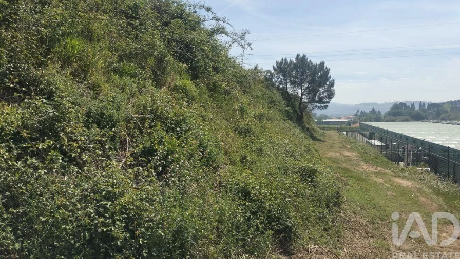 Terreno para Venda em Paredes Foto 18