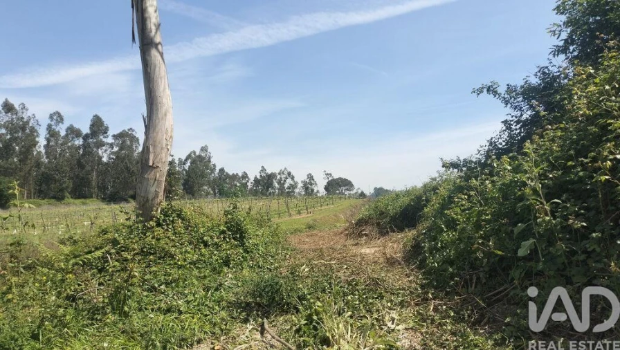 Terreno para Venda em Paredes Foto 19