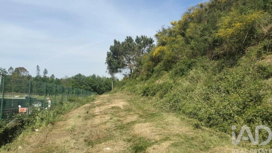 Terreno para Venda em Paredes Foto 11