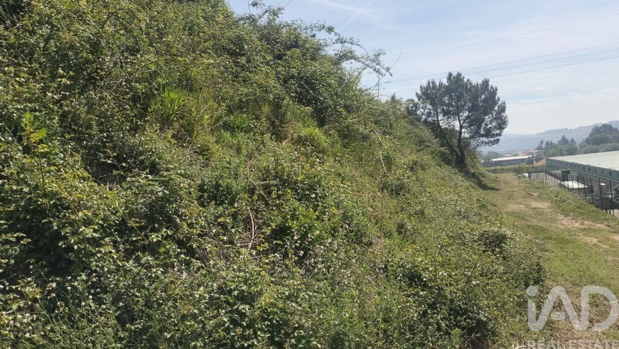 Terreno para Venda em Paredes Foto 16