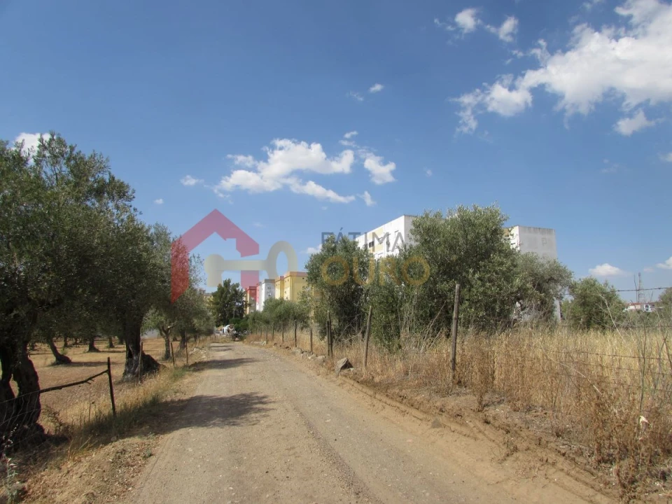 Terreno para Venda em Assunção, Ajuda, Salvador e Santo Ildefonso Foto 7