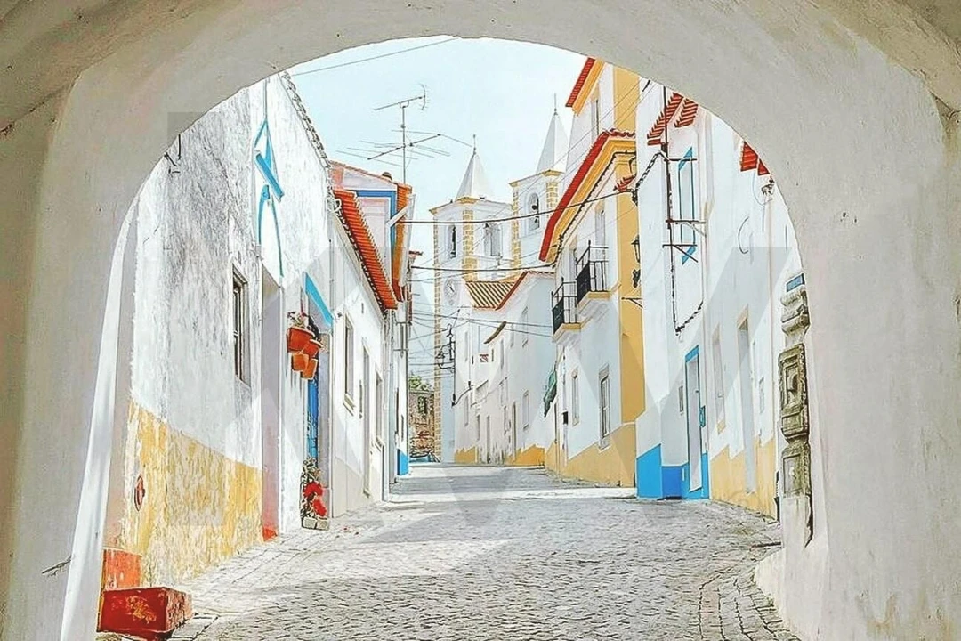 Moradia T3 para Venda em Avis Foto 59