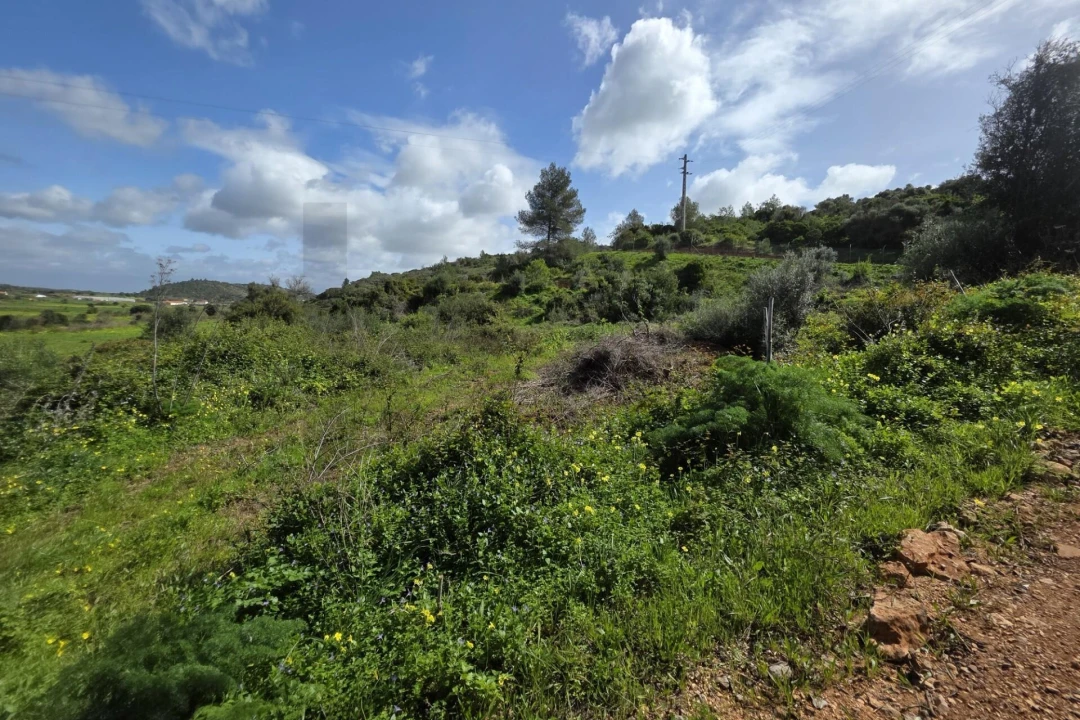 Terreno para Venda em Odiaxere Foto 2