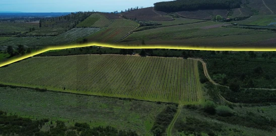 Quinta T3 para Venda em Alpedrinha